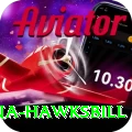 antigua hawksbill Games (Casino & Earning) Elite v4.6.6