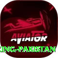 betpkr King Pakistan