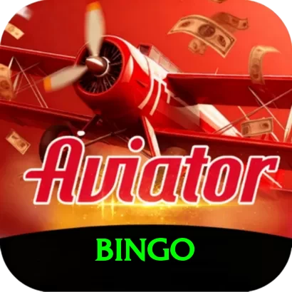bingo Max Pro vv5.2.5 - 2