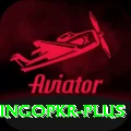 bingopkr VIP Edition v2.3.0