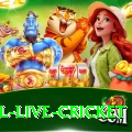 bpl live cricket Games (Casino & Earning) Gold v3.1.1