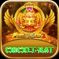 cricket bat Turbo Pro v3.3.1