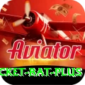 cricket bat Pakistan Gold v5.4.9