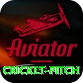 cricket pitch Pro Edition v5.1.6