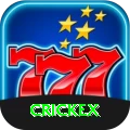 crickex Pro v4.2.9