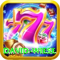 david wiese Pro v2.3.5