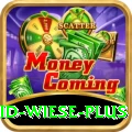 david wiese Champion - Daily Bonus