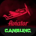 gambling VIP v5.2.4