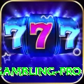gambling Premium Slots