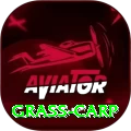 grass carp Deluxe Edition v5.5.9