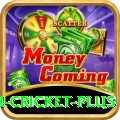 india bangladesh cricket Slots Legend v4.0.0