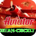 india pakistan cricket Pro Max v3.1.2