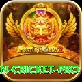 india pakistan cricket King v1.5.1