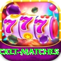 india upcoming cricket matches Premium v2.5.4