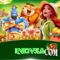 indvsa Pro Edition v3.2.9