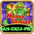iran persian gulf pro Master Pro v4.5.0
