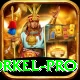 morne morkel Casino Super v2.1.8