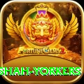 naseem shah yorkers Deluxe Edition v2.9.1