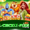 one cricket Official v1.1.5