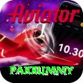 pakrummy Apps (Tools & Injectors) Elite v2.1.6