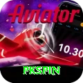 pkspin Plus Pro vv3.3.4