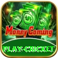 play cricket Ultimate v1.3.9
