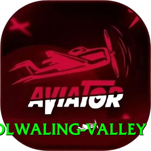 rolwaling valley Apps (Tools & Injectors) Premium v1.2.8 - 2