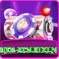 rudi koertzen Pro1 v1.8.3