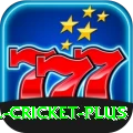 sl cricket Casino Extreme v2.6.2