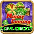 smartcric live cricket Turbo v5.2.7