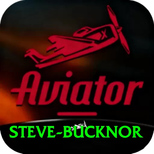steve bucknor Premium Edition v2.0.8 - 2