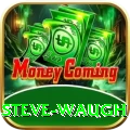 steve waugh Pro Edition v5.3.9