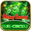 test cricket Pro v5.4.2