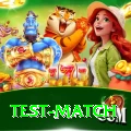 test match Ultimate v4.5.5