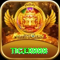 tiger888 Max v1.0.2
