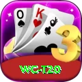 wc t20 Pro Edition v3.4.2