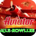 wicket hauls bowlers Turbo Pro v2.2.6