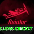 willow cricket Ultimate Pro v3.6.6