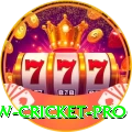 willow cricket Jackpot Master v1.8.0
